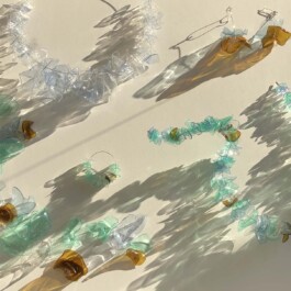 Portfolio von Sol Song