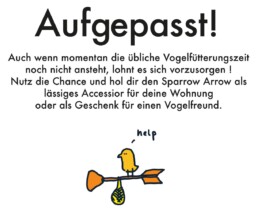 Portfolio of Sol Song