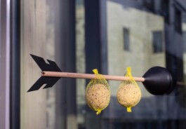 Portfolio of Sol Song