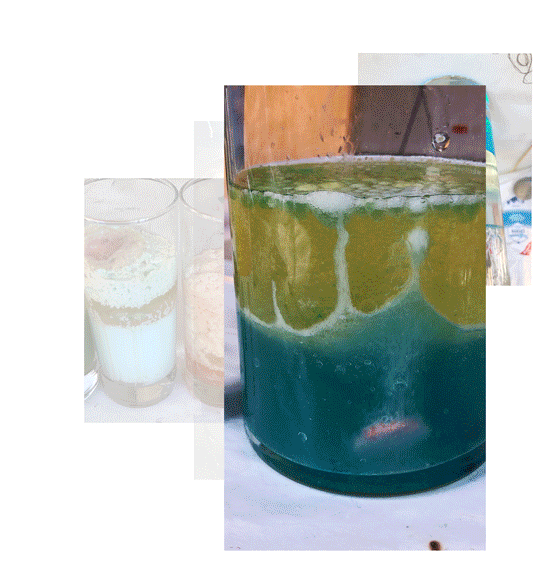 Portfolio von Sol Song